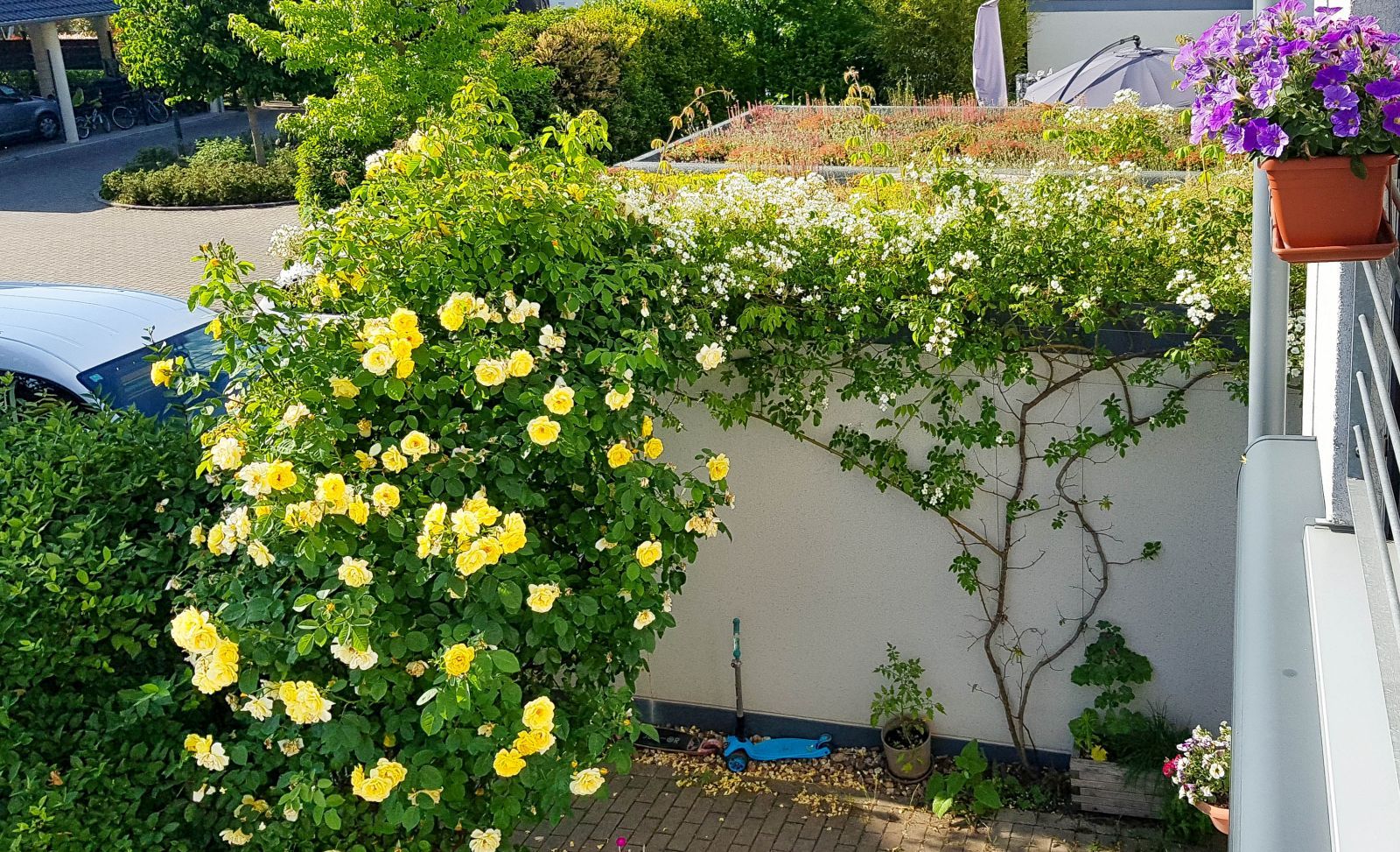 
Verbraucherzentrale NRW



